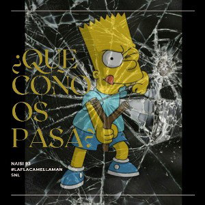 ¿Que coño os pasa? - Naisi93