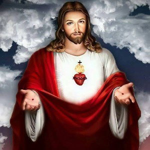 🙏🏻VIDA A MI CREADOR Y EL DE TODOS🙏🏻