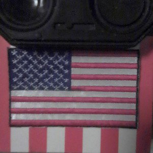 I Pledge allegiance to the United STatEs
