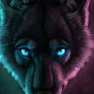 fight back 