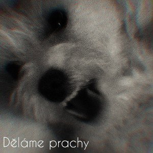 DĚLÁME PRACHY ft. @vynko