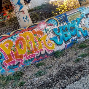 freestyle
