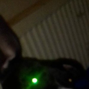  #KRYPTONITE UPUPUPLOAD1 😇