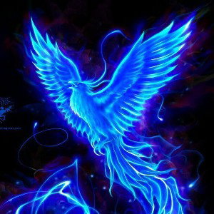 🔸️ iMAGiN£ 🔸️