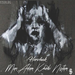 Man Adame khobi nistam