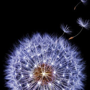 philisophical