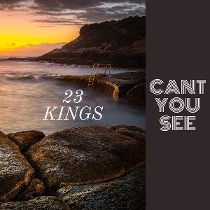 Cant you see