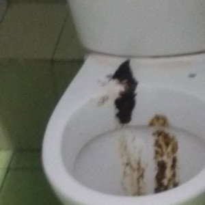 хочу сдания в абу даби