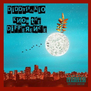 Diddy-Know The Difference