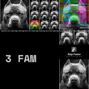 3 fam