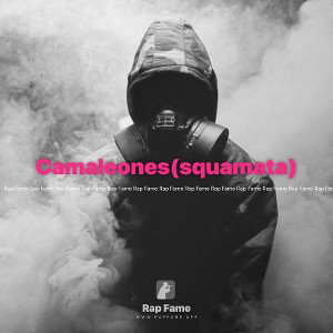 Camaleones(squamata)