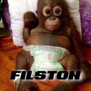 FILSTON (promo @smoke)