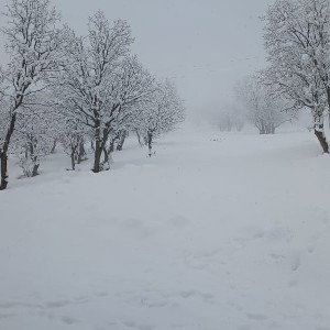 بده سیگارت رو بکشم