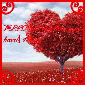 Terro (another planet)