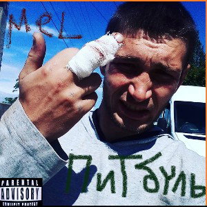 Mel  assassination Skow - Crainaladge
