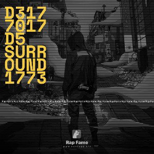 D3177017D5 surround 1773 