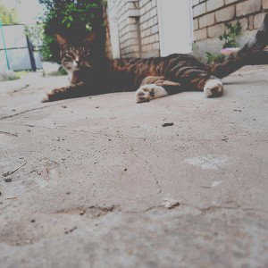 очень страшное кино