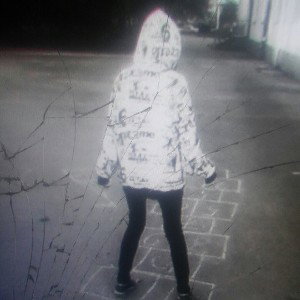 Отрывок 31