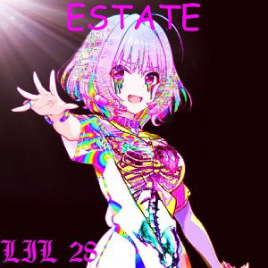 lil 28 - Estate