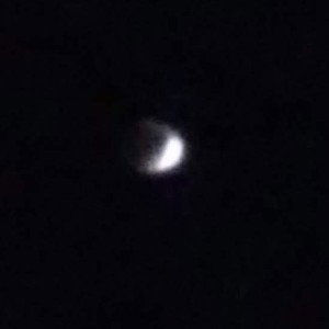 In The Dark