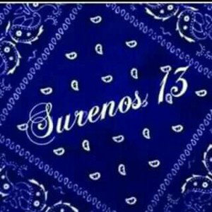 06.puro sur13 