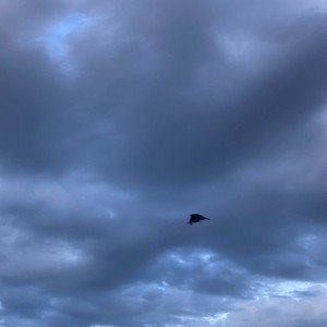 Pink Clouds( (03:38:10)