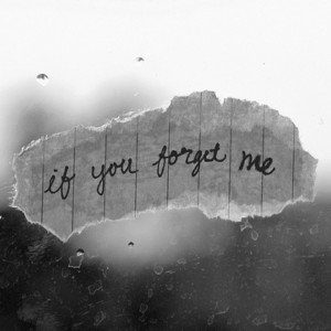 forget me