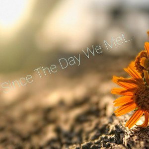 since the day we met