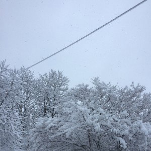 Все время ту
