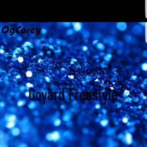 Goyard Freestyle