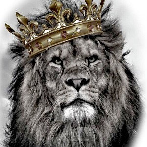 Massif972 - ♈✊🏾 welcome 🕯️ bienvenue 👊🏾 ♈