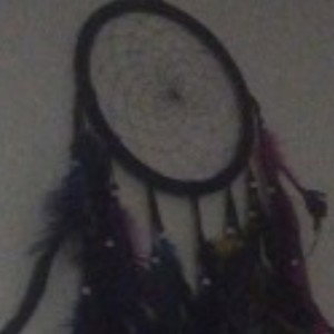 dream catchers 