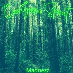 Evergreen Sprint