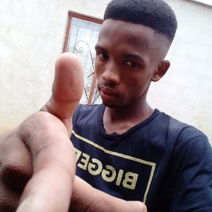 FLEXII