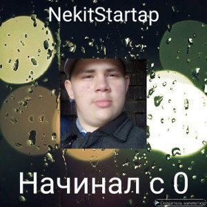NekitStartap ( s 0 nachinal) 