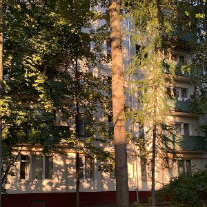 Погода