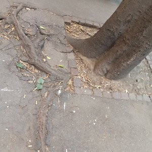 La giungla di cemento  