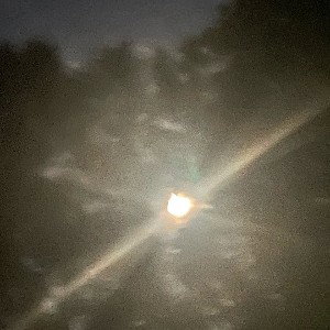 Chilled (04:32:54)