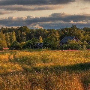 Деревенская жизнь 