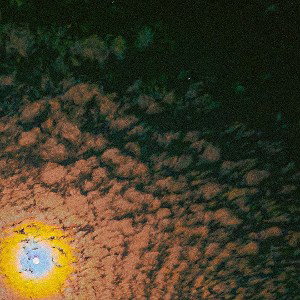 Why World's never dumb (freestyle )