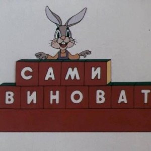 сами виноваты