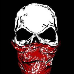 new profile picture 