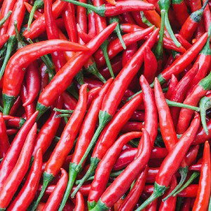 Hot Sauce 
