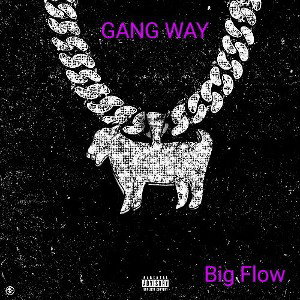 Big Flow - gang way (official audio)