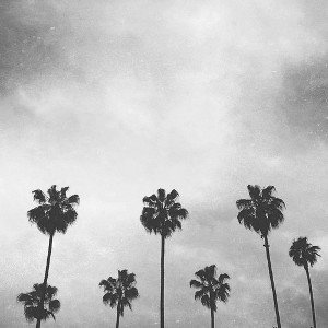 Asheid - _The_Phonk_