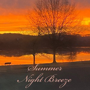 Summer Night Breeze 