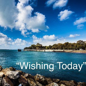 WishingTodaySaVsterMane JadedVet