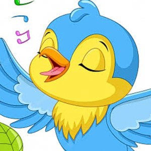Little bird ( beautiful )....