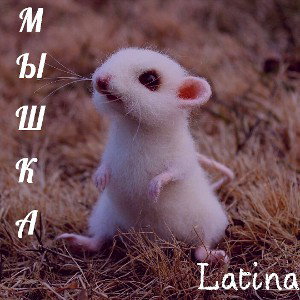 Мишка