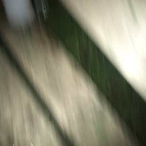 BIGGER N BIGGER (19:31:56)